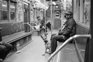 Jamel Shabazz, City Metro