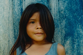 Record Stefan Dotter rainforest book photography