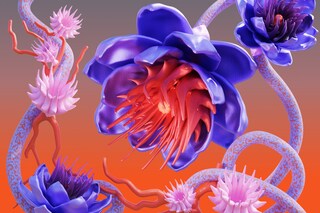 AYESHA, RHYTHM IS MEMORY