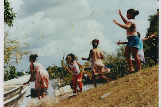 Record Stefan Dotter rainforest book photography