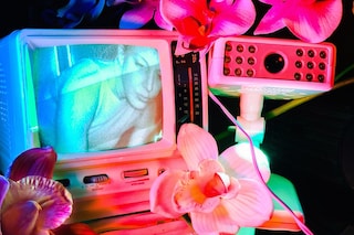 Signe Pierce’s Faux Realities