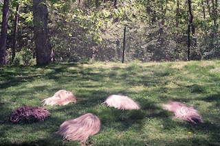 Luisa Opalesky Beauty Trilogy