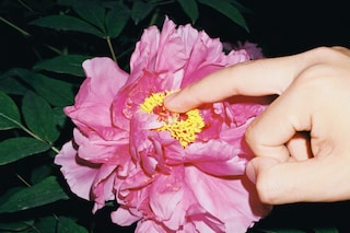 Lin Zhipeng (AKA No.223), La Libert&#233; ou L’Amour