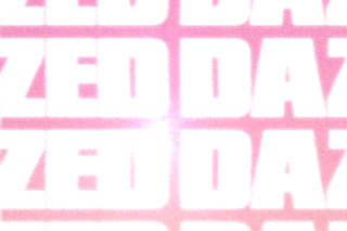 Grace Coddington Vogue puppy