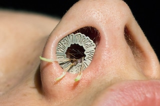 BODY HOLES by New Scenario