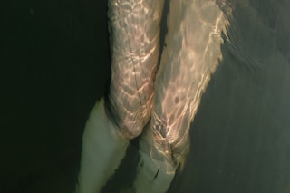 Zhong Lin’s Project 365 
