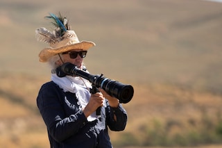 The Power of the Dog film Jane Campion Ari Wegner