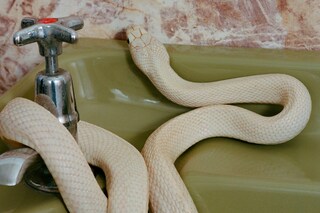 Ben Toms Untitled postcards