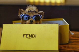 Little Lola Sunshine