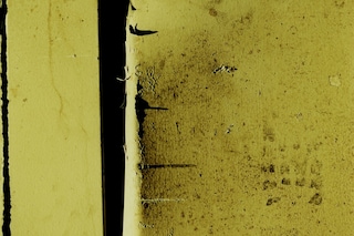 Harley Weir’s Paintings