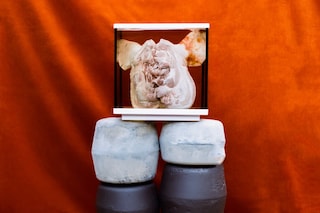 Dazed100 Aaron Kudi 1