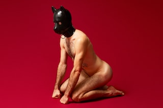 _Pup on red_ by Matt Ford