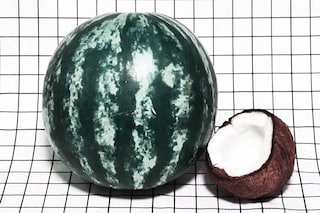 Dom Sebastian Watermelon+Coconut