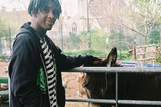 Deijuvhs donkeys
