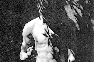 Peter De Potter’s ‘The Vanity of Certain Flowers’