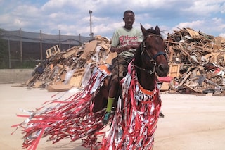 Horse Day (2014)