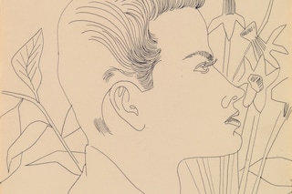Andy Warhol, Boy with Flowers
