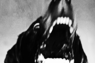 Jack Davison’s Photographs