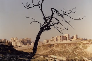 Harley Weir, Walls (2026)