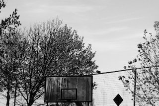 Willy Vanderperre basketball ring