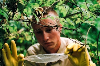 Cruising Archaeology II: Eurotrash