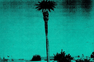Matt Martin’s American Xerography