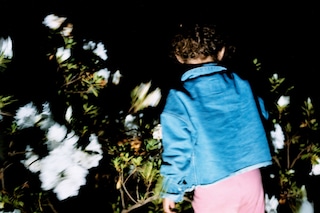 Abdulhamid Kircher and Sierra Kiss, New Genesis