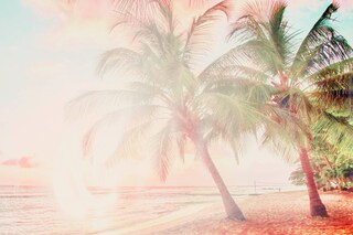 Foam Talent | Digital 1