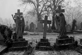 Alfie White, SE London (2022)