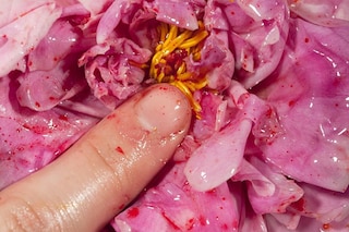 22158794_173444696541915_7477370545726554112_n