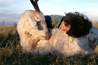 Alessandra Sanguinetti: The Adventures of Guille and Belinda