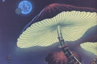 tumblr_mvgll1yEkl1r4w8k5o1_1280