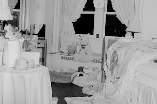 Alina van Ryzin’s Bryn Mawr