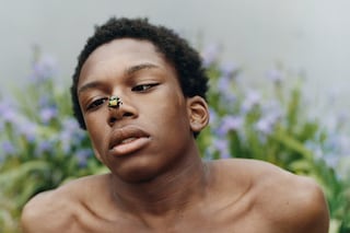 Tyler Mitchell, Simply Fragile (2022)