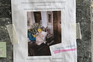 Cristina Stolhe, No te preocupes si no