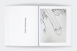 Penile Papers, Holly Blakey