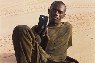 Harley Weir Dazed 100