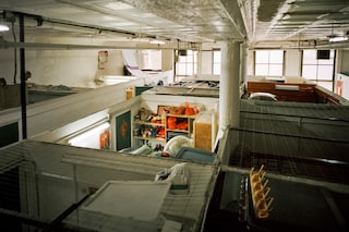 Interior Lives by Annie Ling