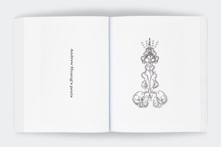 Penile Papers, Andrew Thomas Huang
