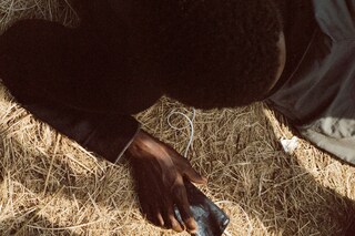 Melissa Arras &quot;El Dorado&quot;