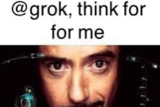 Grok, think for me meme