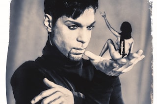 Steve Parke’s Picturing Prince
