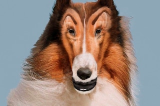 John Waters, Beverly Hills John, Spr&#252;th Magers Gallery