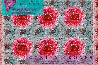 cortex crones VNS Matrix