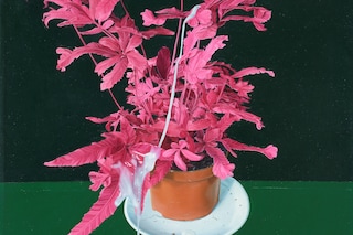 Antonia Marsh&#39;s A_ is A_