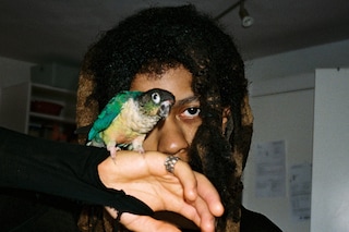 Niall Ashley 2 - credit Alex Free @alexfree_hii