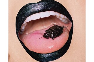 coverboy willam belli drag race rupaul make-up brand 