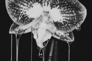 Atsuko Kudo, Dressing for Pleasure
