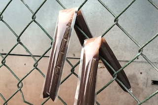 Sam Blackwood, “Rat Palace” (2013 - ongoing) 