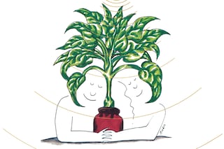 Mort Garson, Mother Earth’s Plantasia